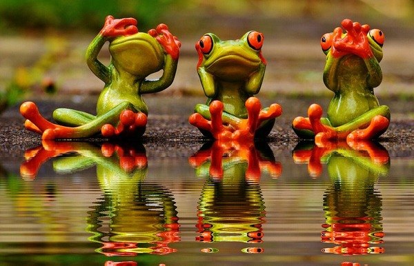 Frogs - see, listen, speak