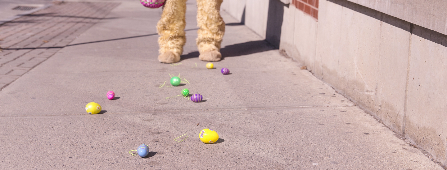 Scheitern im job osterhase verliert ostereier auf der strasse