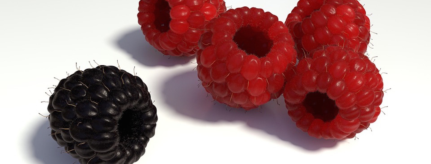 Black berry among red berries