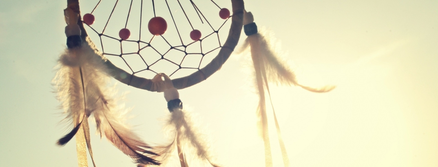 Sunny summer catcher feathers