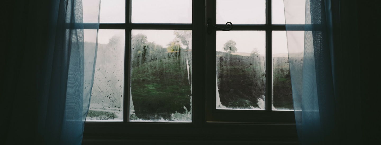 Fenster rueckblick header