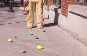 Small scheitern im job osterhase verliert ostereier auf der strasse
