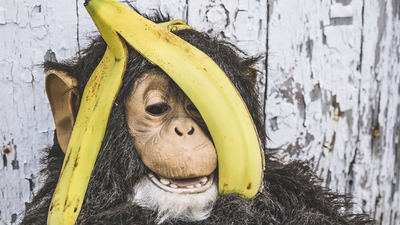 Middle affe banane fail bewerbung interview