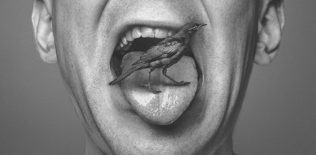 Big bird on the tongue don t say a word