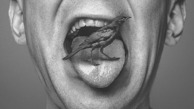 Middle bird on the tongue don t say a word