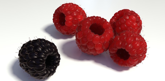 Big black berry among red berries