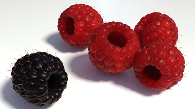Middle black berry among red berries