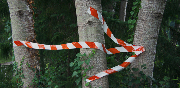 Big wie du deinem erfolg im weg stehst pfeil aus absperrband vor b umen