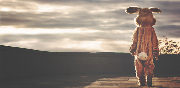 Big hase bunny stress kost m