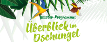 Small design ohne titel 14