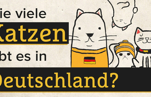 Small katzen de brainteaser