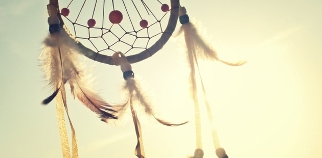 Big sunny summer catcher feathers 1