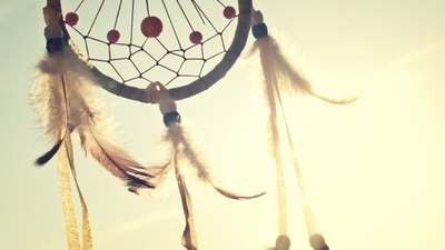 Middle sunny summer catcher feathers 1