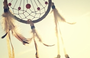 Small sunny summer catcher feathers 1